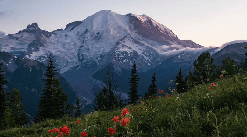 most-interesting-facts-about-mount-rainier-cover