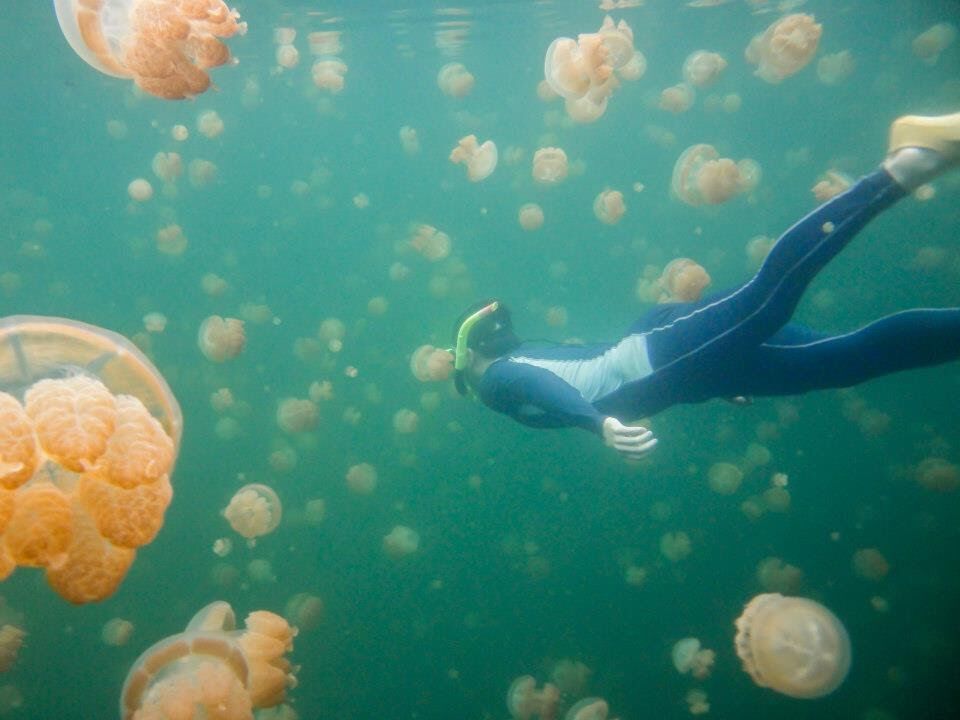 image of a person snorkeling with jelly fish